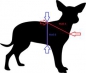 Preview: Führgeschirr Hundegeschirr Eule