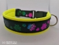 Preview: Hundehalsband Regenbogen Pfoten mit Polsterung