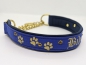 Preview: Personalisiertes Hundehalsband blau-gold