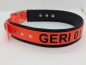 Preview: Personalisiertes Sicherheitshalsband Arbeitshalsband Jagdhunde Biothane