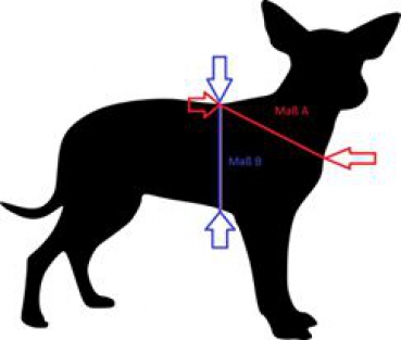 Führgeschirr Hundegeschirr Eule