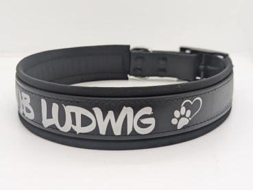 Personalisiertes Biothane Hundehalsband 3,5cm breit